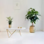 marmer in moderne kamer